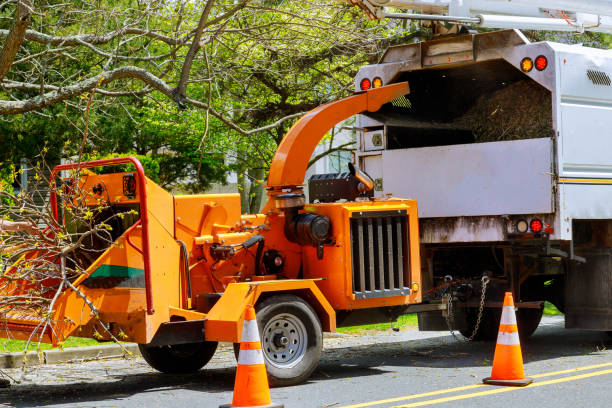 Best Lawn Grading and Leveling  in Hokendauqua, PA